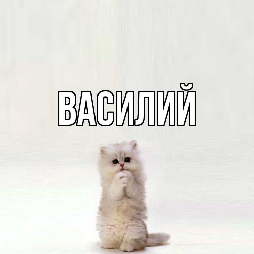 Открытка  с именем. Василий, Главная  
