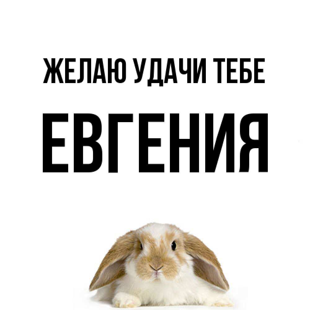 Открытка  с именем. Евгения, Желаю удачи тебе  