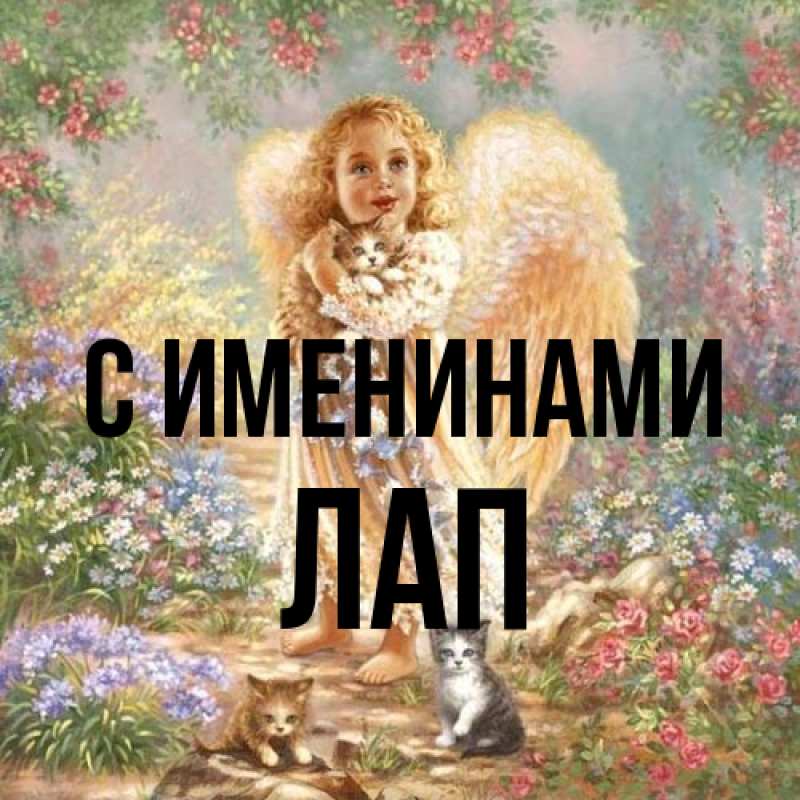 Картинка С именинами, Лап