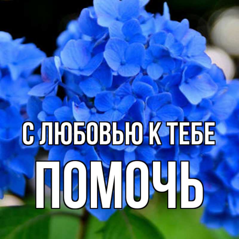 Картинка С любовью к тебе, Помочь