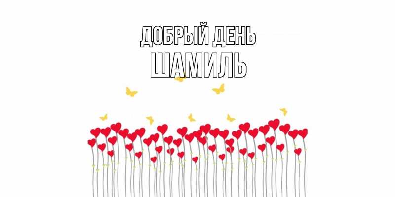 Картинка Добрый день, Шамиль