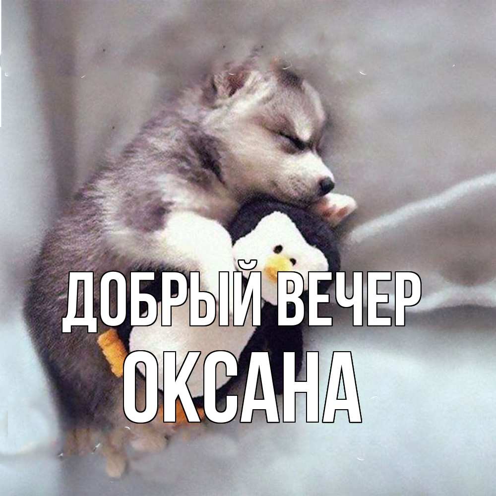 Открытка  с именем. Оксана, Добрый вечер  