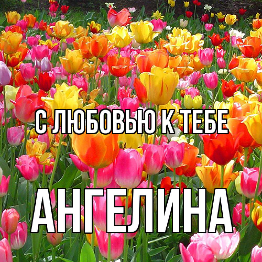 Открытка  с именем. Ангелина, С любовью к тебе  