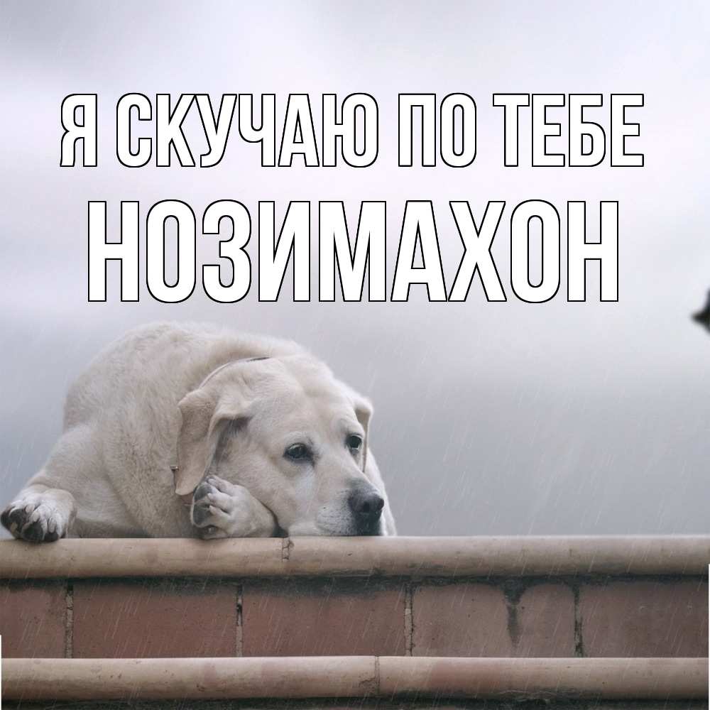 Открытка  с именем. Нозимахон, Я скучаю по тебе  