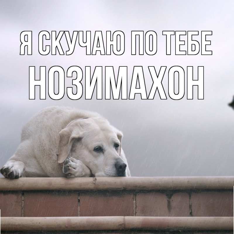 Картинка Я скучаю по тебе, Нозимахон