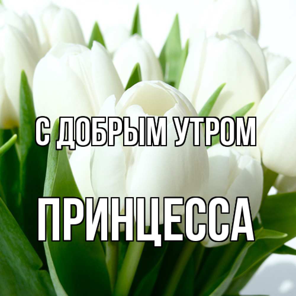Открытка  с именем. Принцесса, С добрым утром  