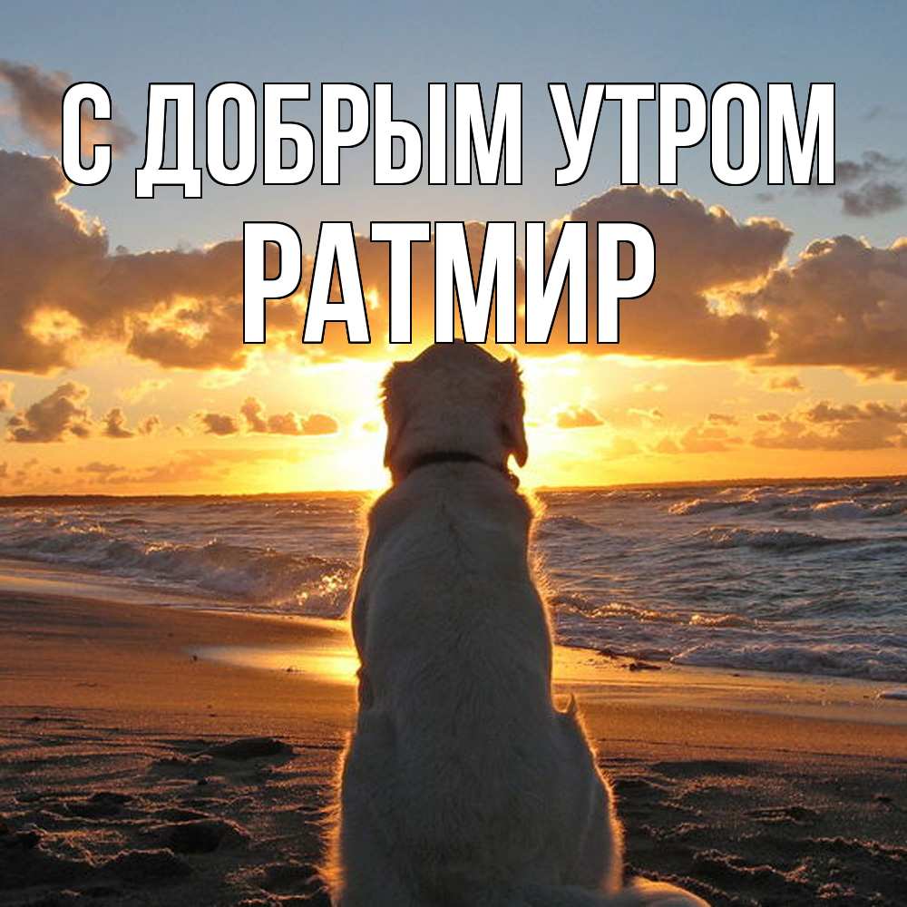 Открытка  с именем. Ратмир, С добрым утром  