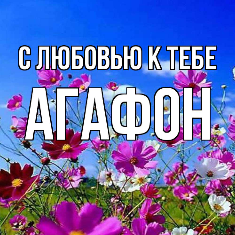 Открытка  с именем. Агафон, С любовью к тебе  