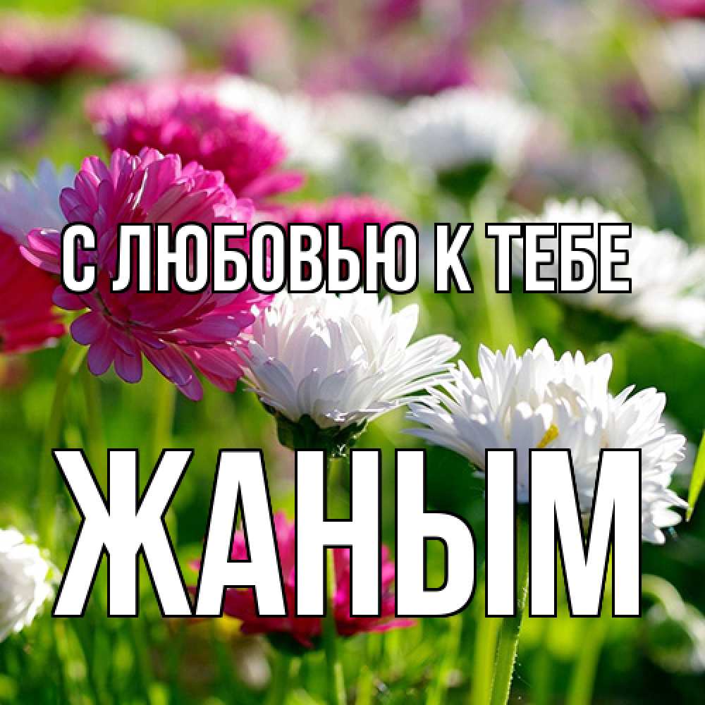 Открытка  с именем. Жаным, С любовью к тебе  