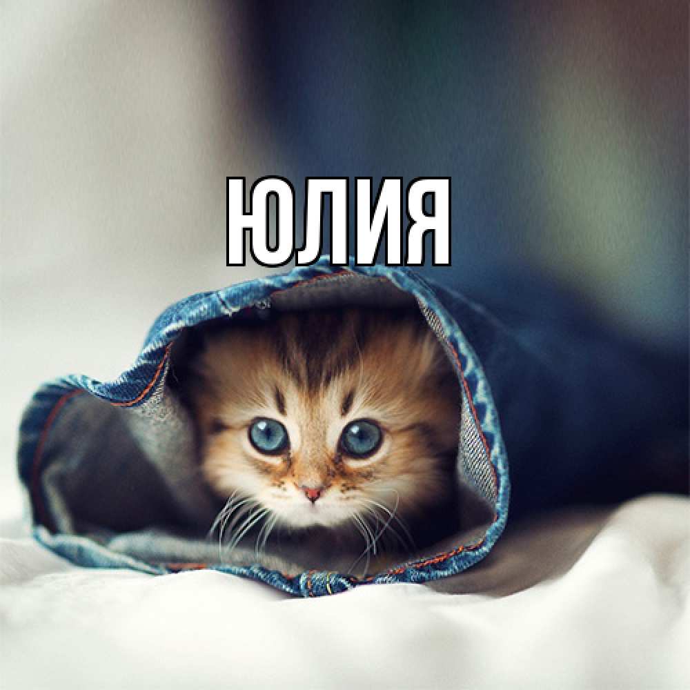 Открытка  с именем. Юлия, Главная  