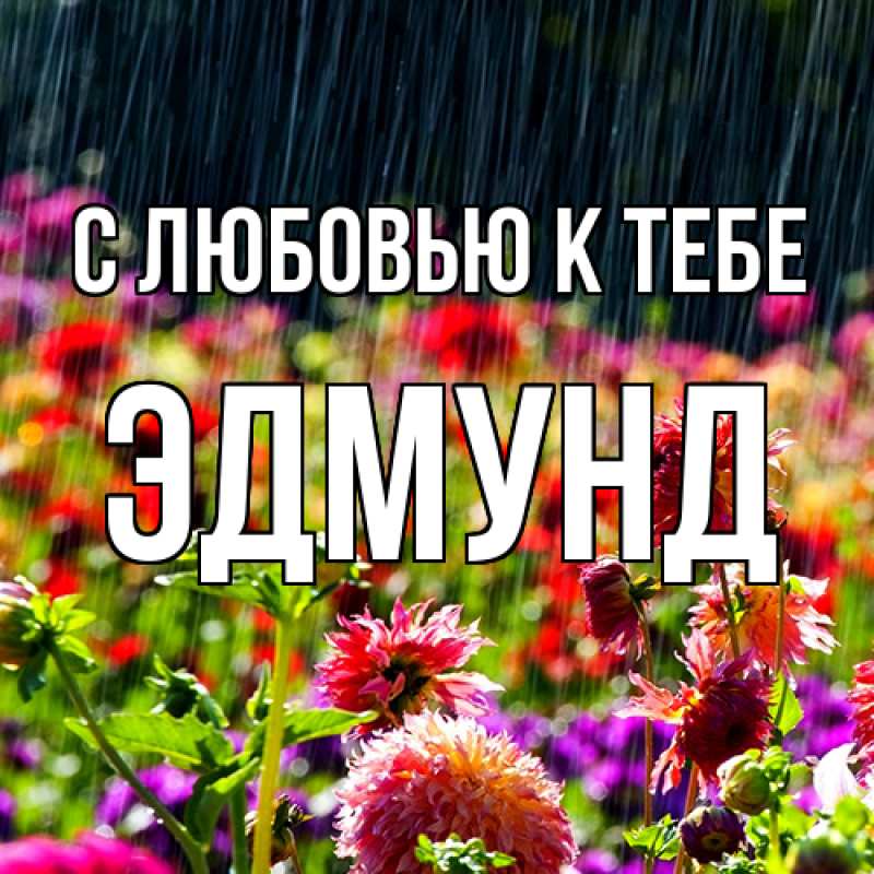 Картинка С любовью к тебе, Эдмунд