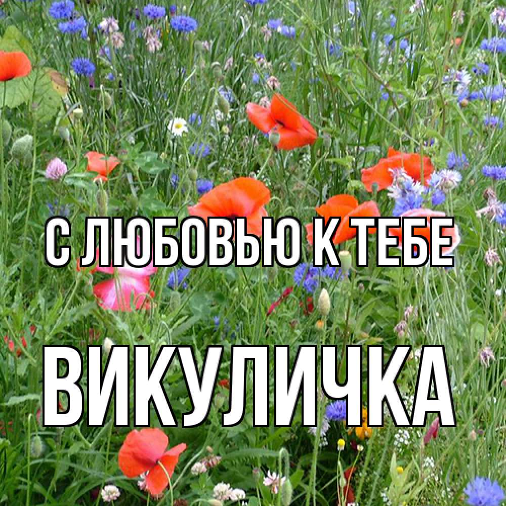 Открытка  с именем. Викуличка, С любовью к тебе  