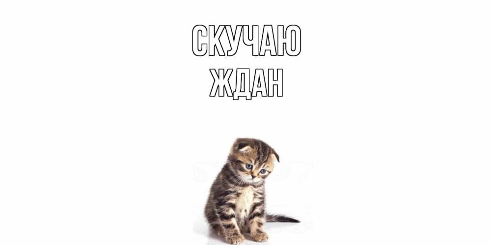 Открытка  с именем. Ждан, Скучаю  