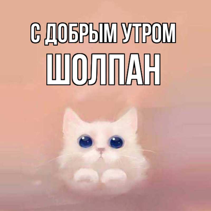 Картинка С добрым утром, Шолпан