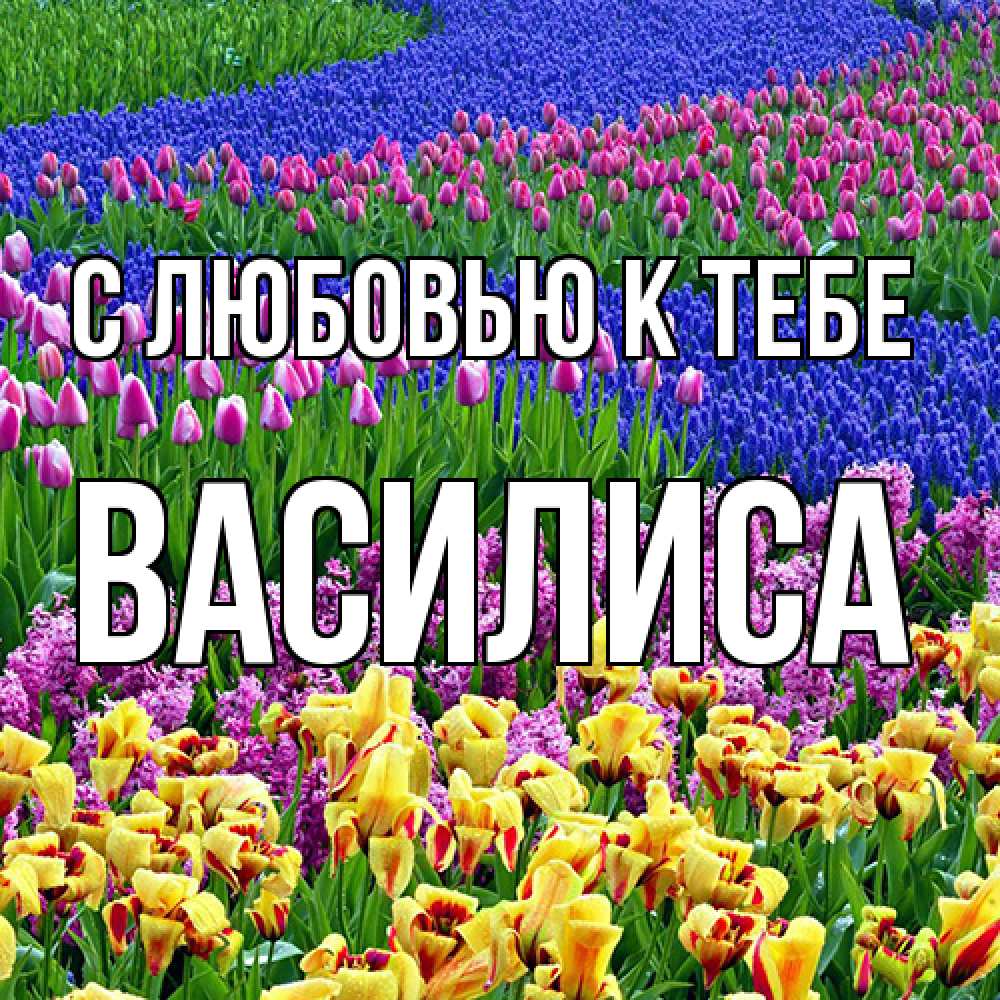 Открытка  с именем. Василиса, С любовью к тебе  