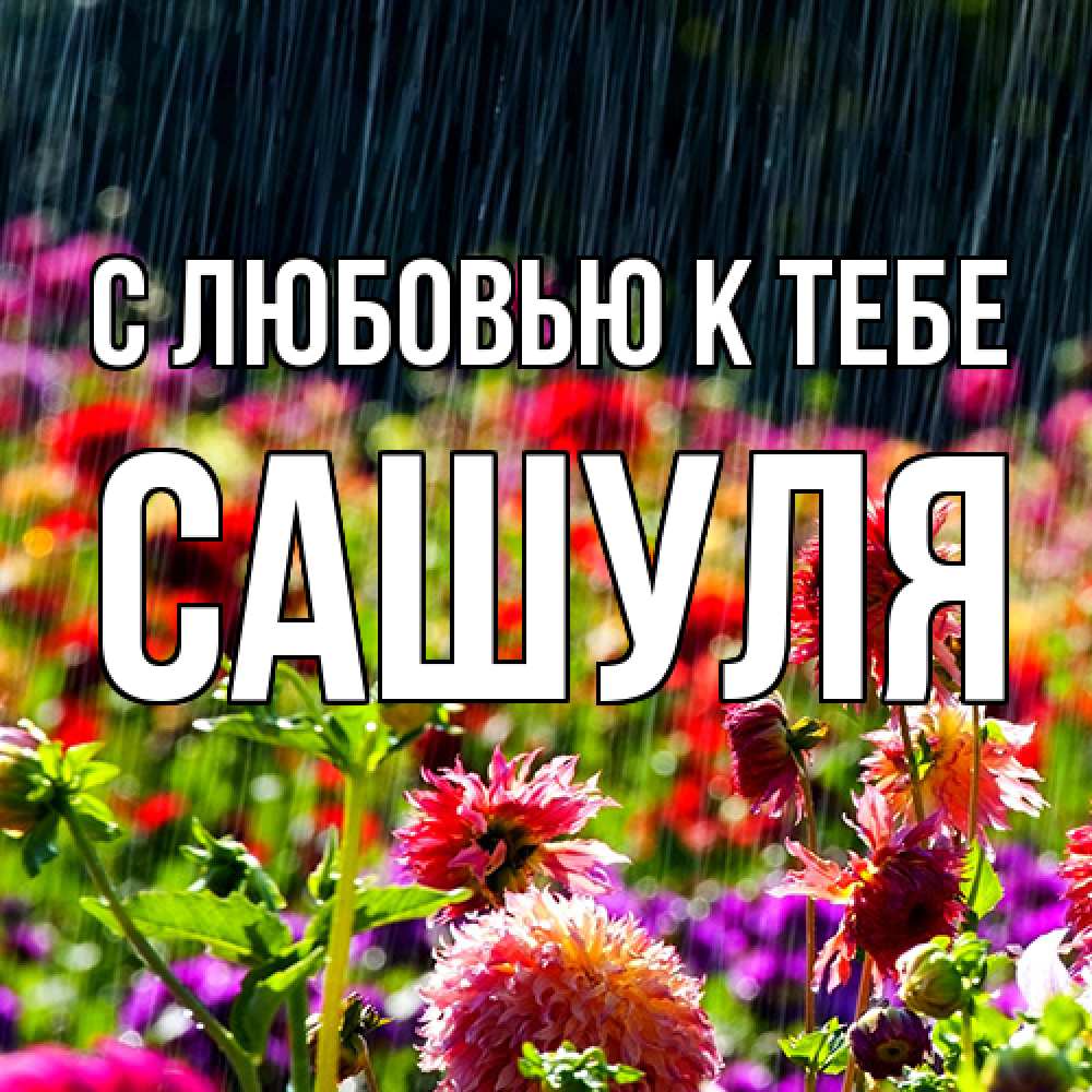 Открытка  с именем. Сашуля, С любовью к тебе  