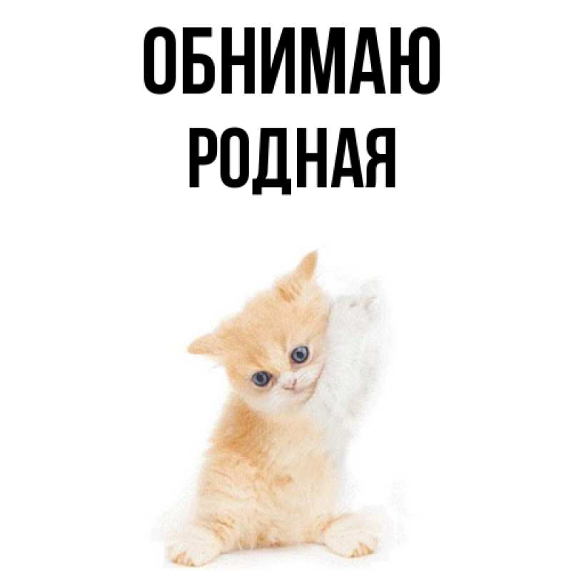 Картинка Обнимаю, Родная