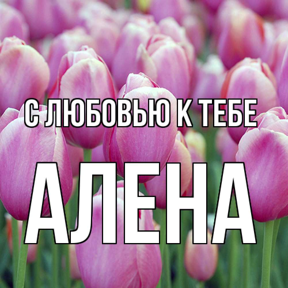 Открытка  с именем. Алена, С любовью к тебе  