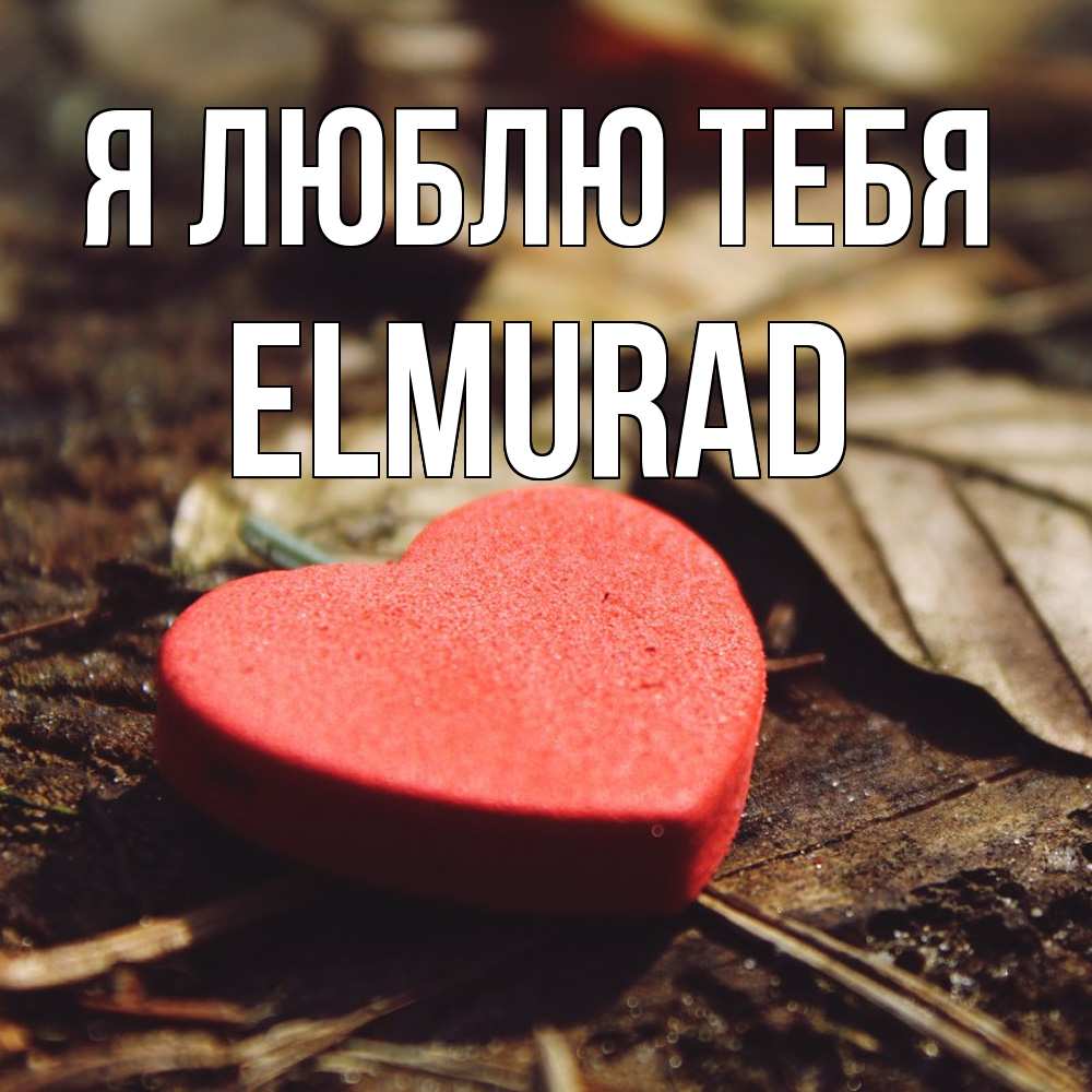 Открытка  с именем. Elmurad, Я люблю тебя  