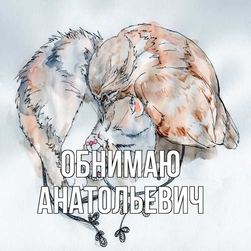 Картинка Обнимаю, Анатольевич