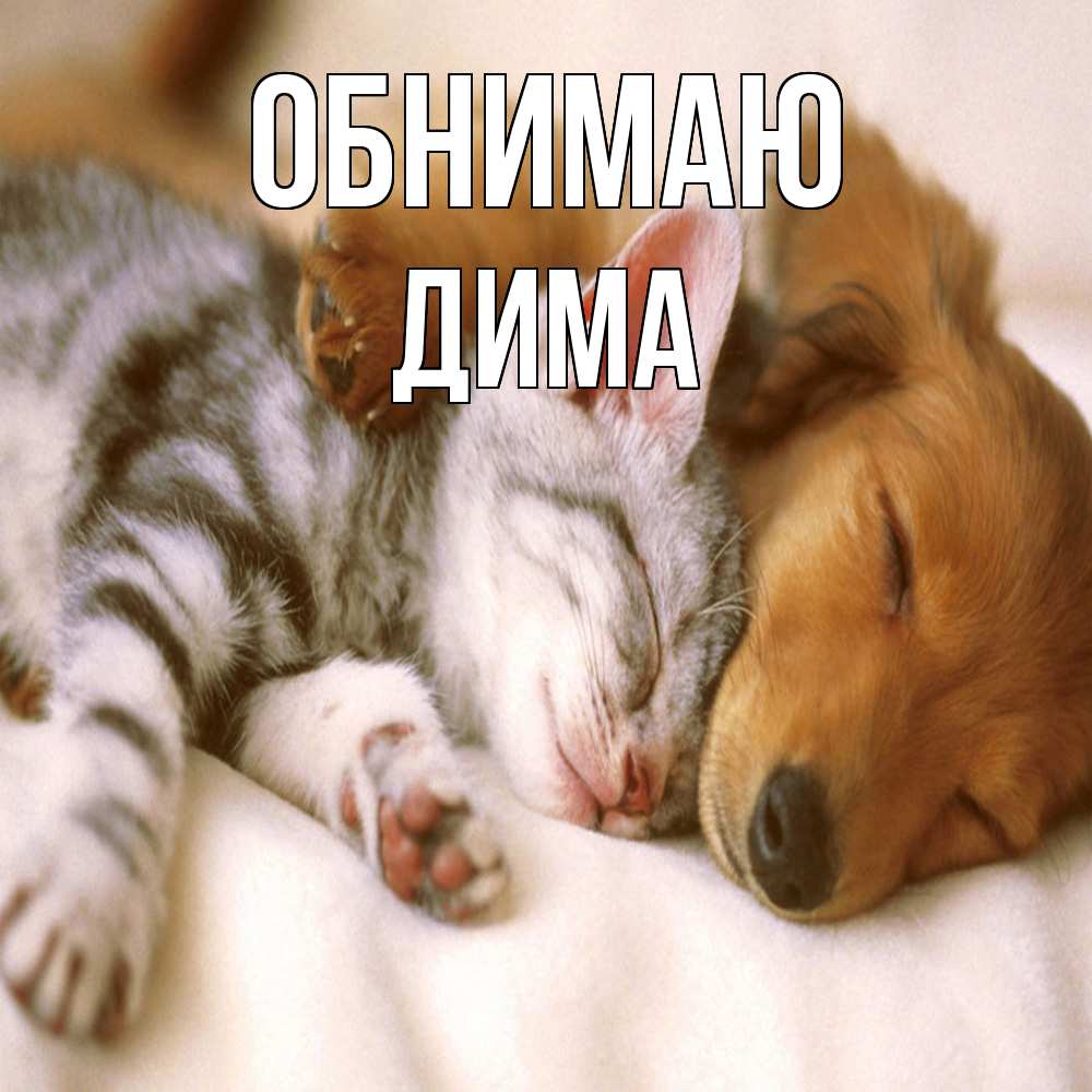 Открытка  с именем. Дима, Обнимаю  