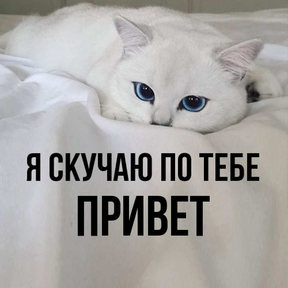 Открытка  с именем. Привет, Я скучаю по тебе  