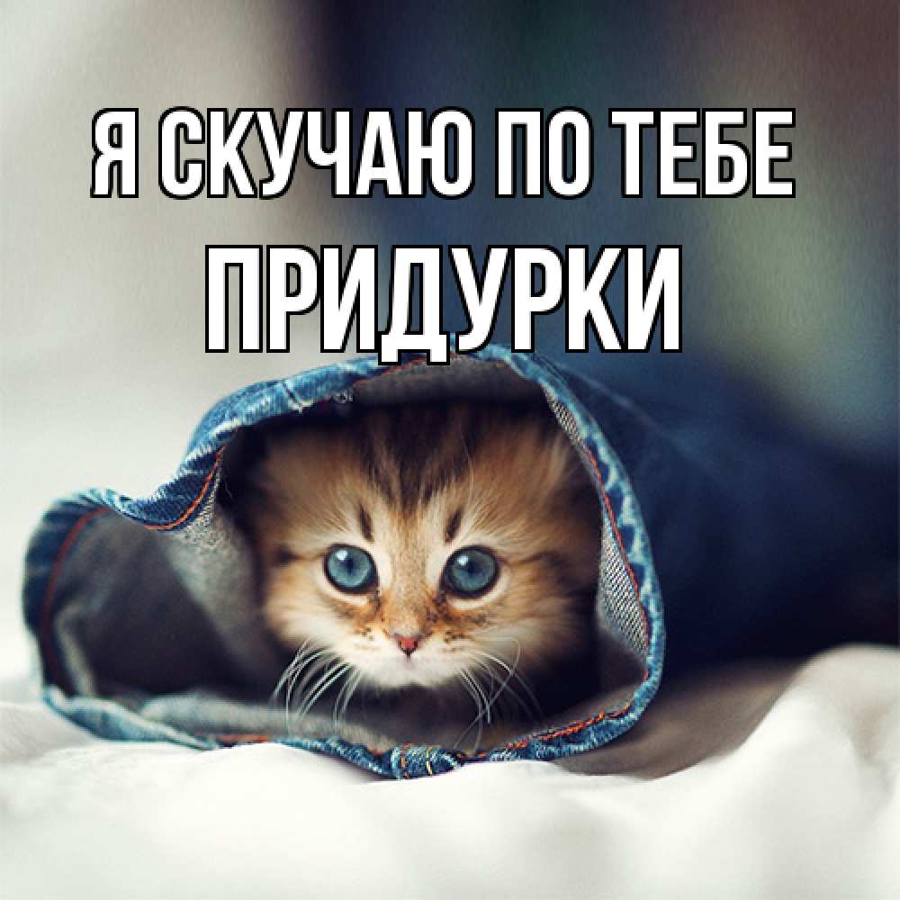 Открытка  с именем. Придурки, Я скучаю по тебе  