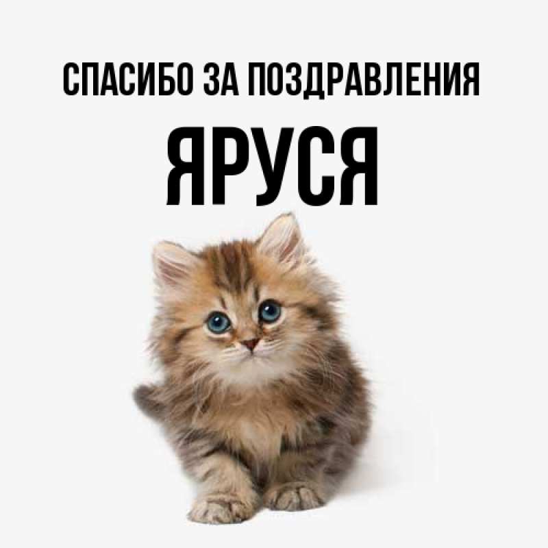 Картинка Спасибо за поздравления, Яруся