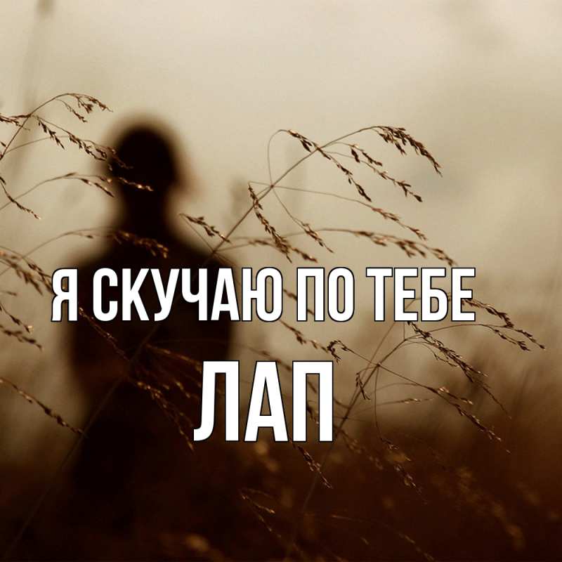 Картинка Я скучаю по тебе, Лап