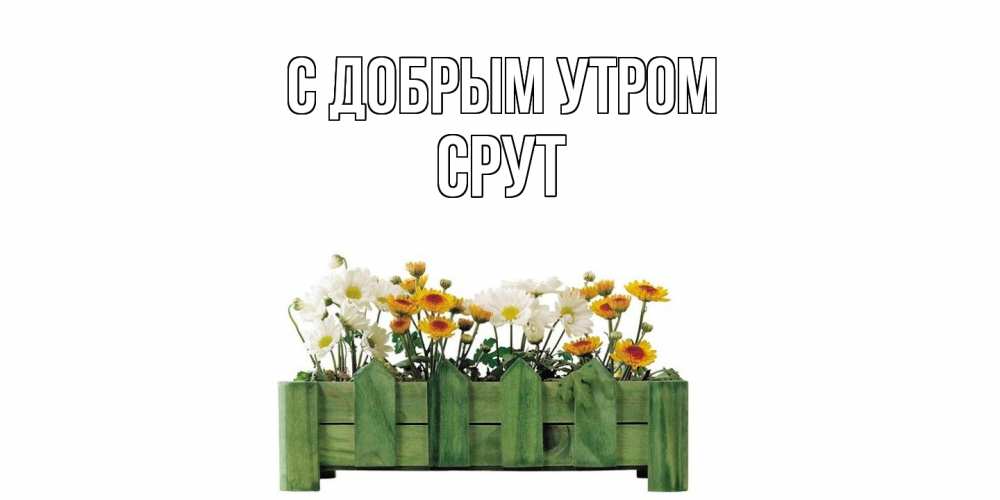 Открытка  с именем. срут, С добрым утром  