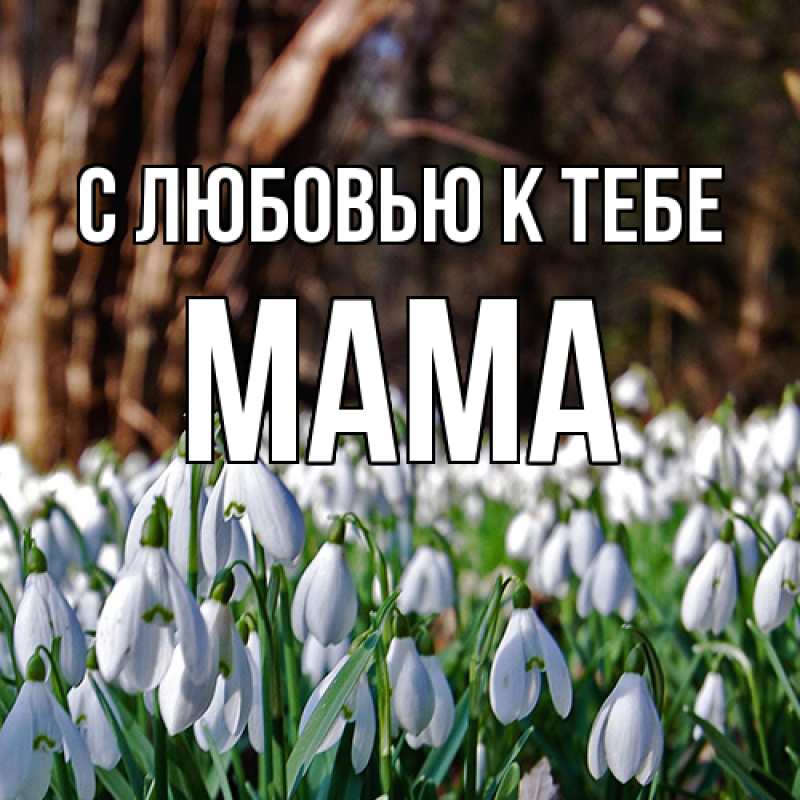 Картинка С любовью к тебе, Мама