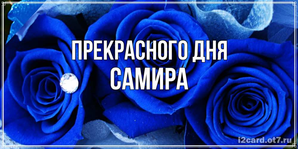Открытка  с именем. Самира, Прекрасного дня  