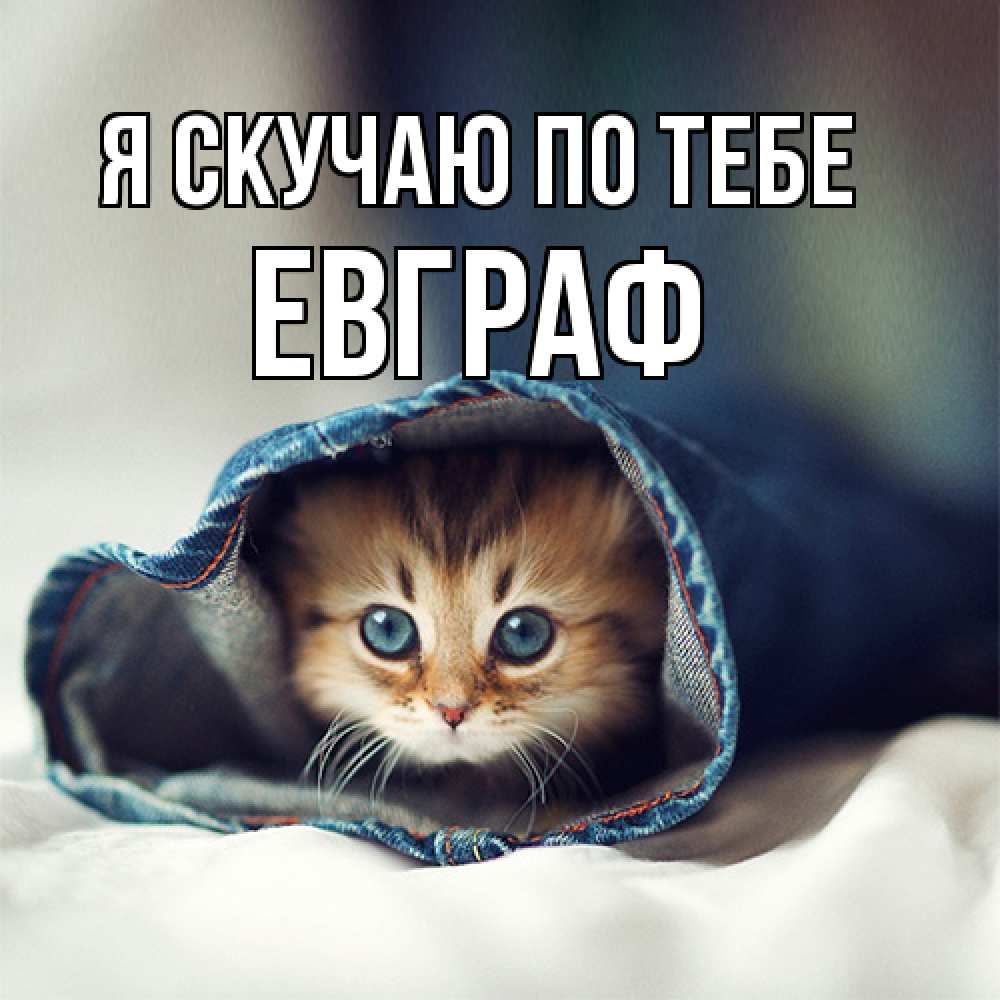Открытка  с именем. Евграф, Я скучаю по тебе  