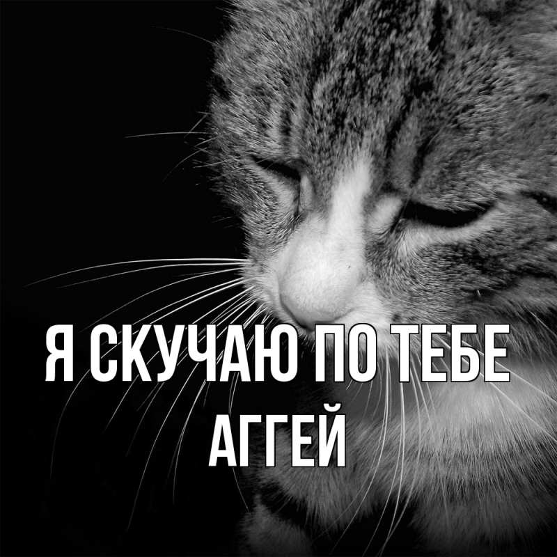 Картинка Я скучаю по тебе, Аггей