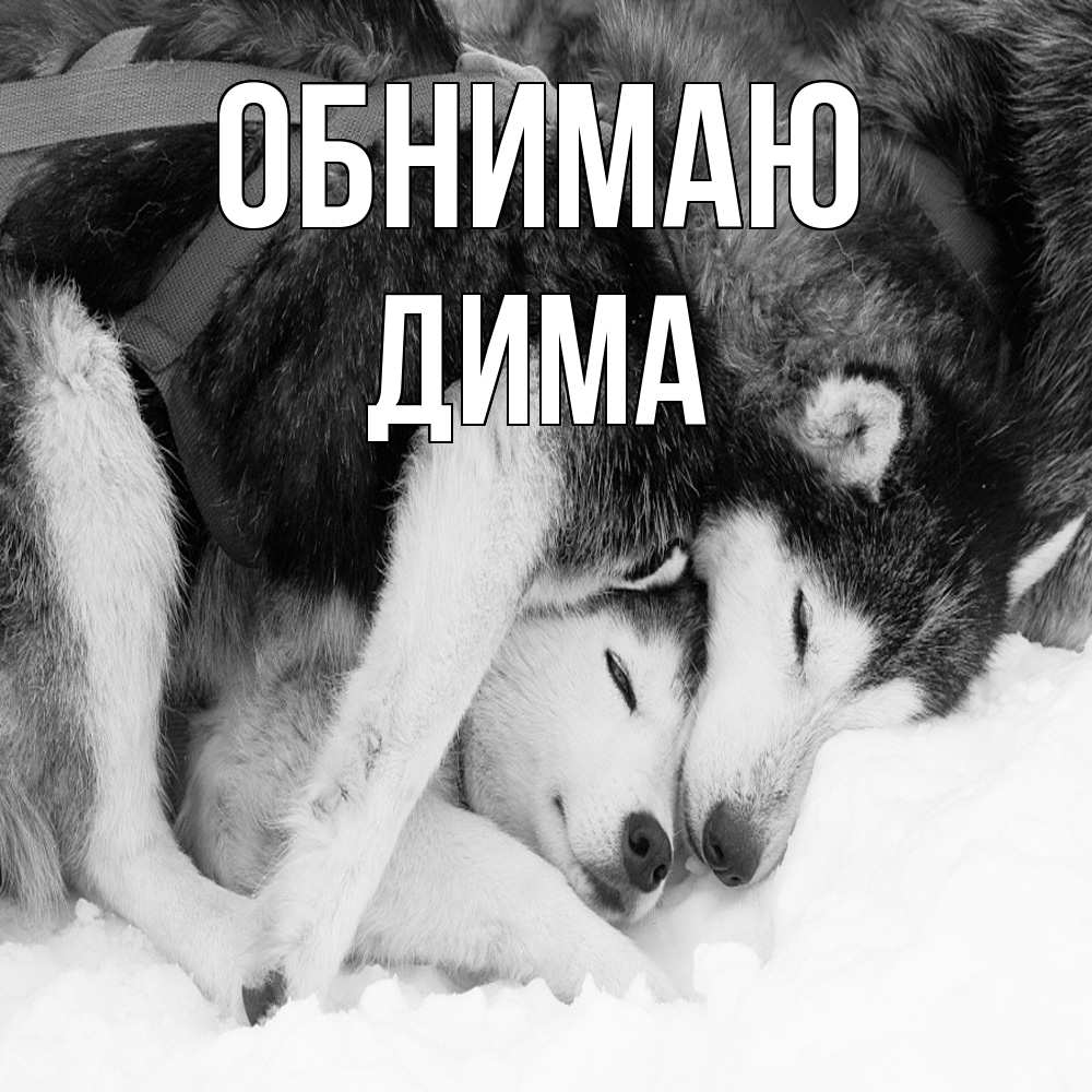 Открытка  с именем. Дима, Обнимаю  