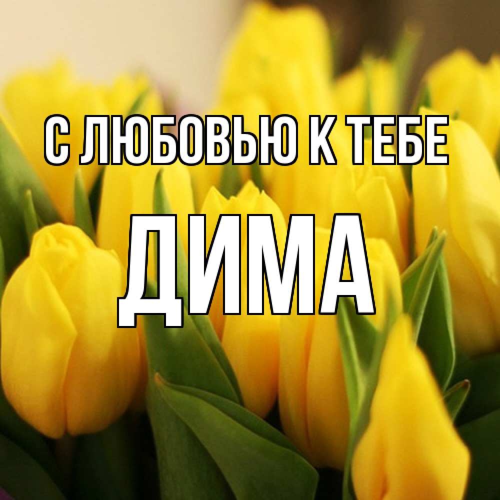 Открытка  с именем. Дима, С любовью к тебе  
