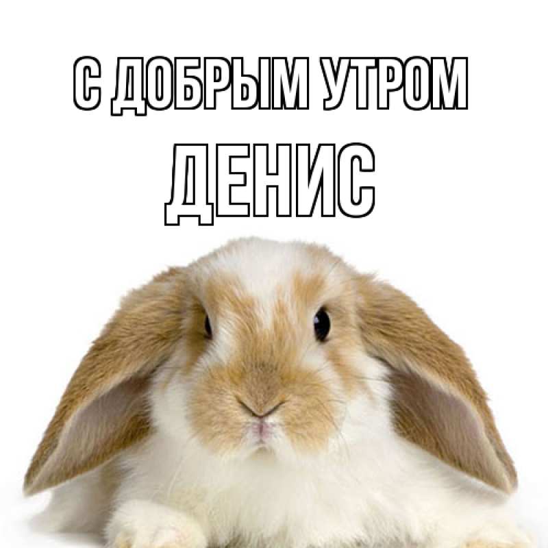 Картинка С добрым утром, Денис