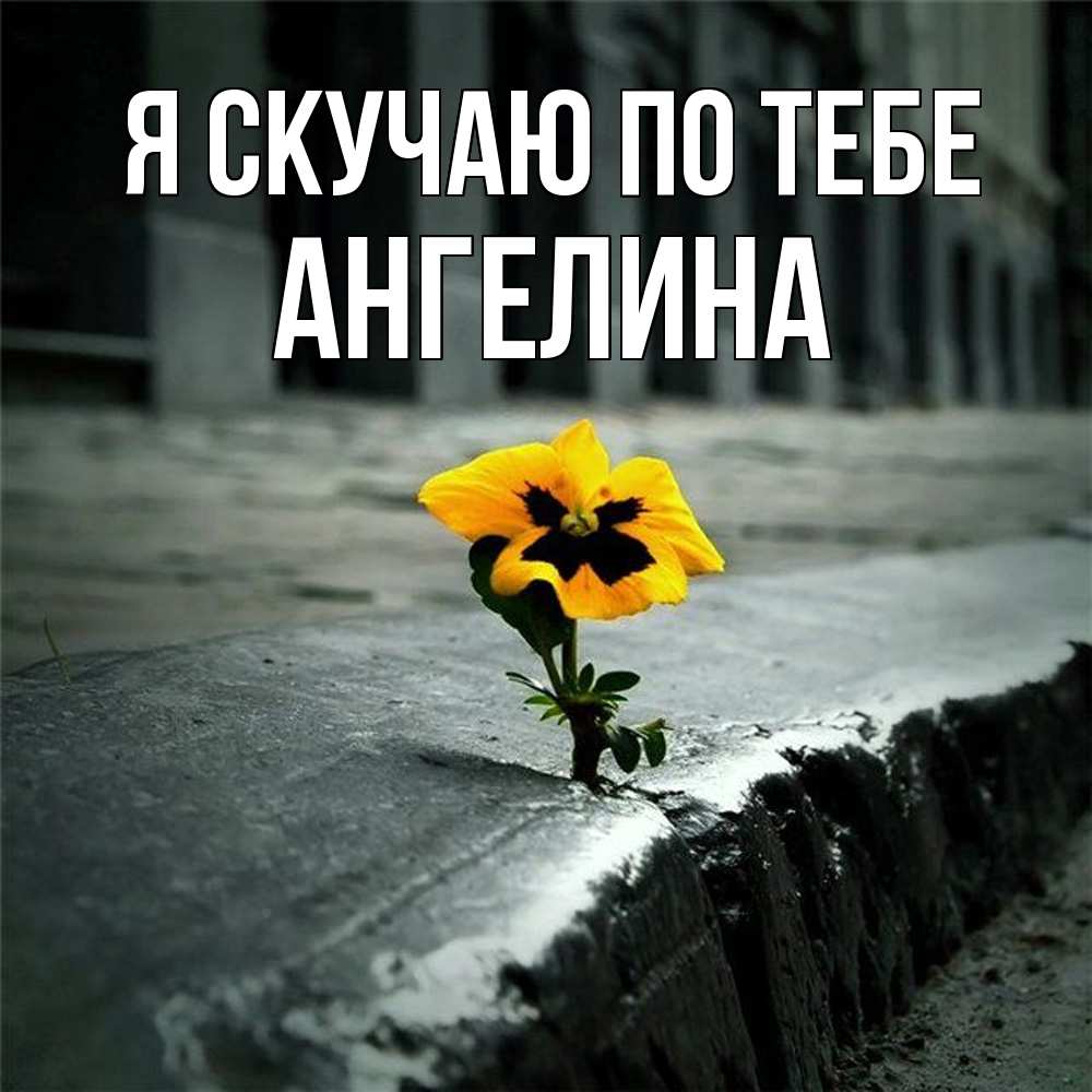 Открытка  с именем. Ангелина, Я скучаю по тебе  