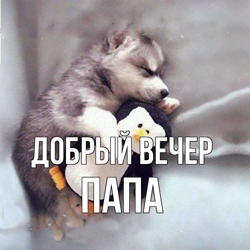 Открытка  с именем. Папа, Добрый вечер  