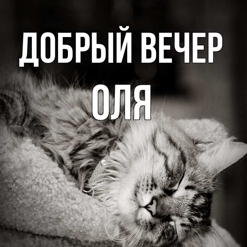 Картинка Добрый вечер, Оля