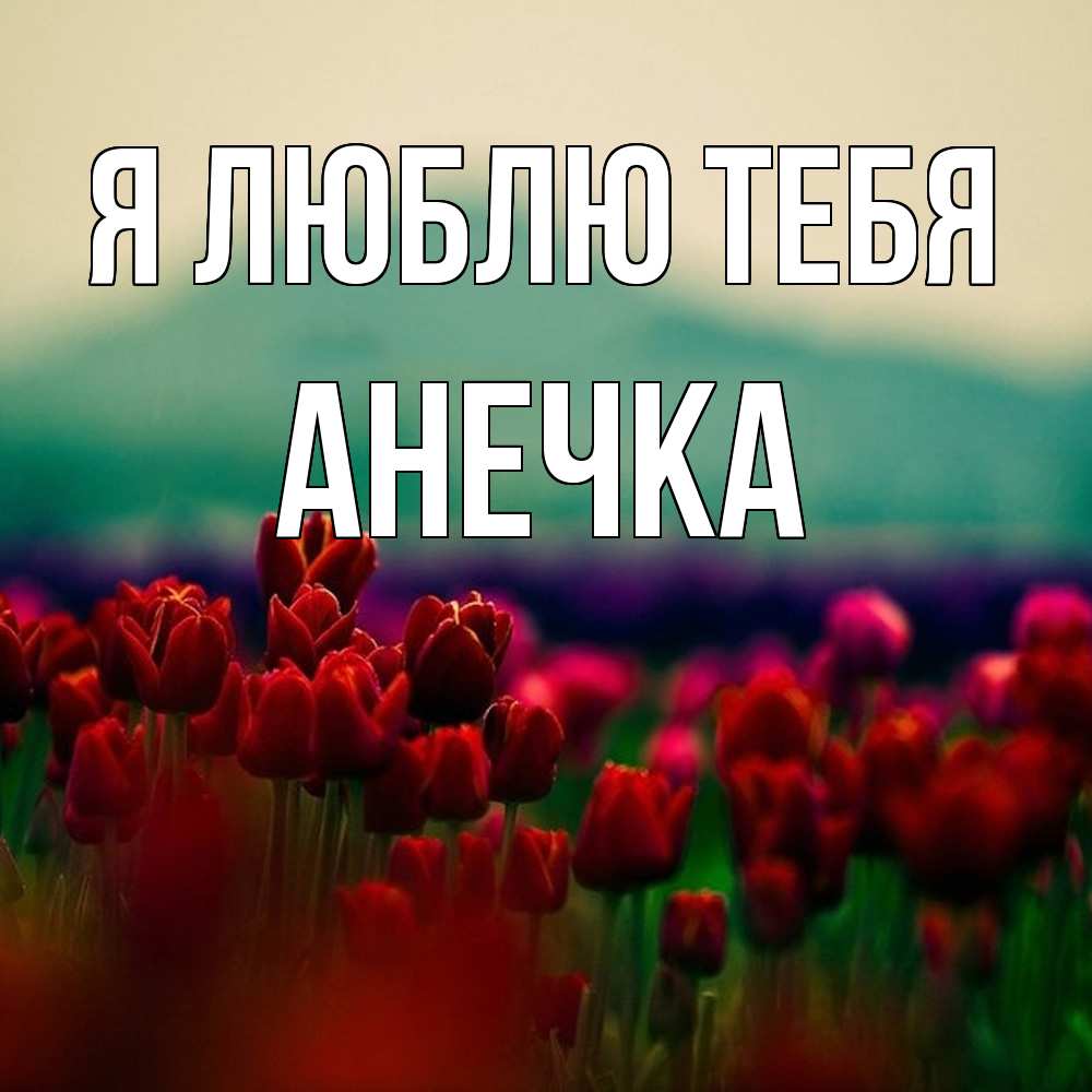 Открытка  с именем. Анечка, Я люблю тебя  