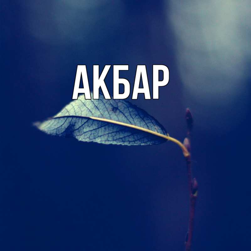 Картинка  с именем , Акбар