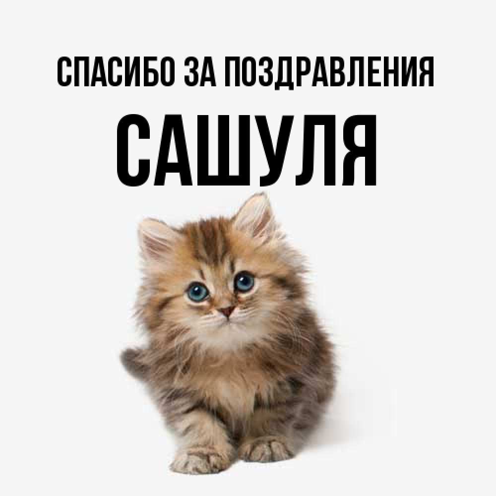 Открытка  с именем. Сашуля, Спасибо за поздравления  