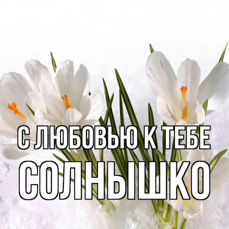Картинка С любовью к тебе, Солнышко