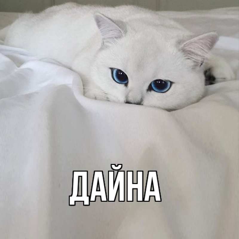 Картинка  с именем , Дайна