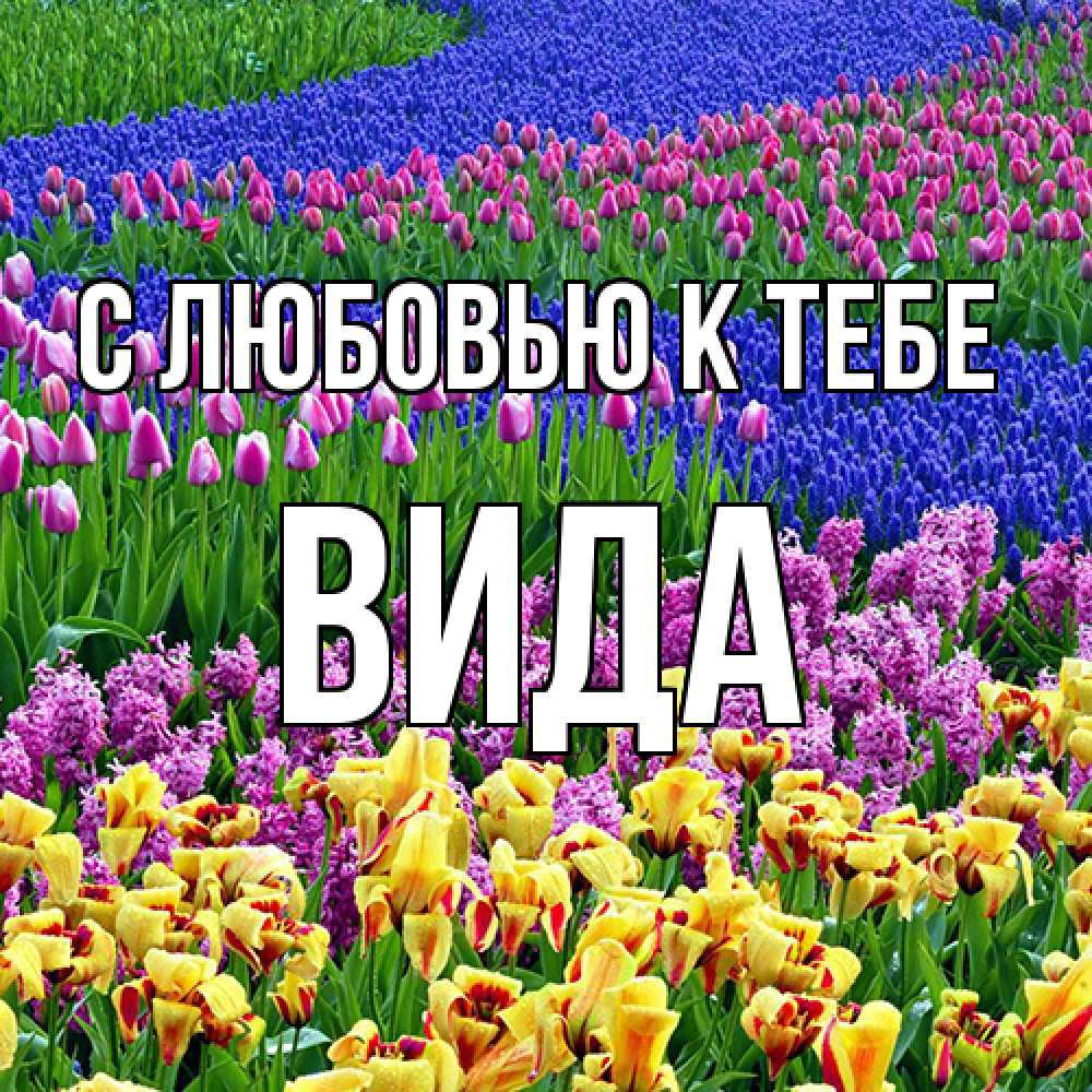 Открытка  с именем. Вида, С любовью к тебе  