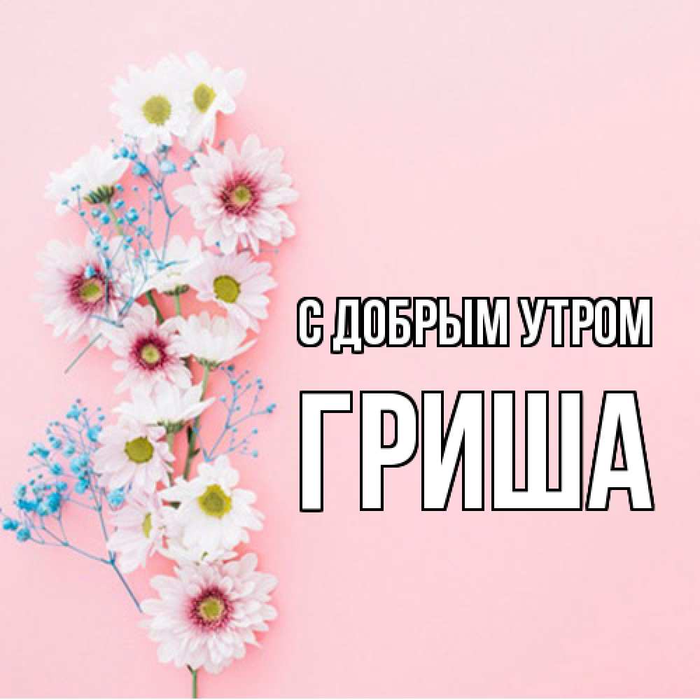 Открытка  с именем. Гриша, С добрым утром  