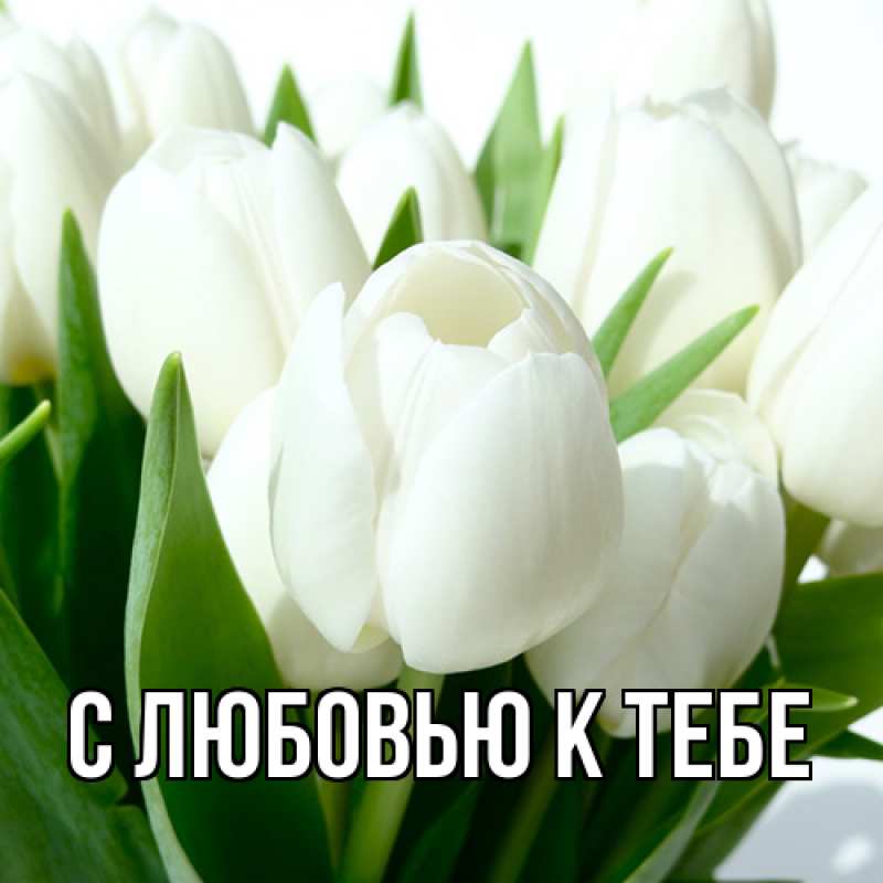 Картинка С любовью к тебе, 