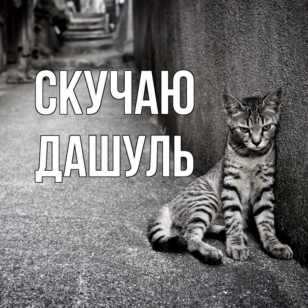 Открытка  с именем. Дашуль, Скучаю  
