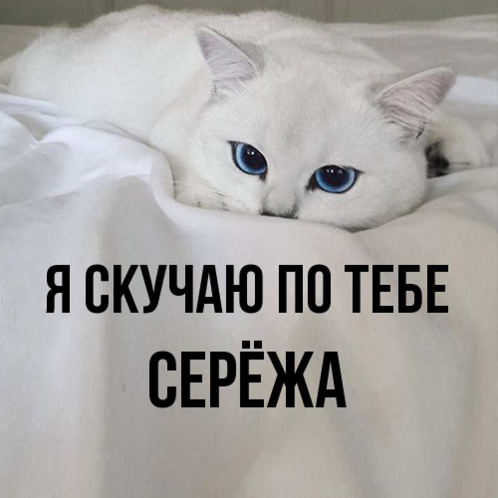 Открытка  с именем. Серёжа, Я скучаю по тебе  